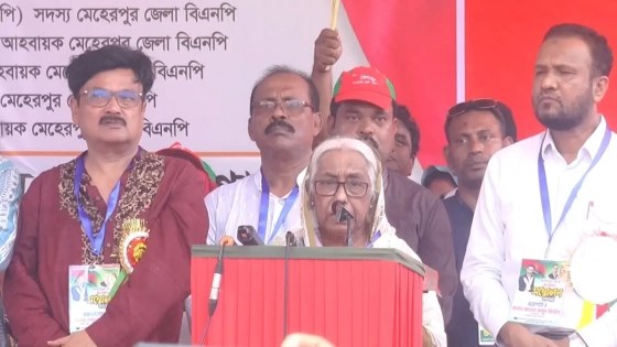 মেহেরপুর জেলা বিএনপির দ্বিবার্ষিক সম্মেলনে বক্তব্য রাখেন অধ্যাপক নার্গিস বেগম। ছবি : কালবেলা