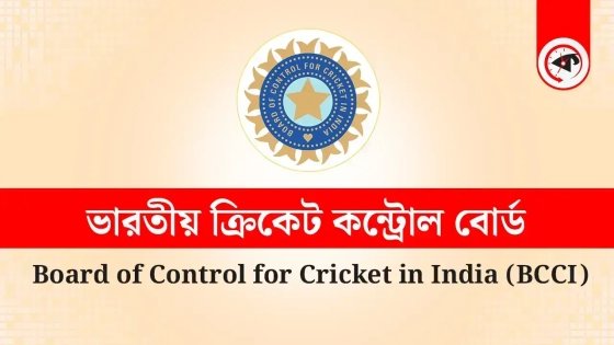 পাকিস্তানের বিপক্ষে খেলা নিয়ে সমালোচনায় বিসিসিআইয়ের কড়া জবাব