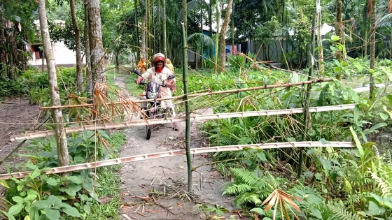 এভাবেই বাঁশ দিয়ে চলাচলের রাস্তা বন্ধ করে রেখেছে আব্দুল মালেক। ছবি : কালবেলা