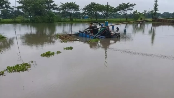 ড্রেজার দিয়ে বালু উত্তোলন, হুমকিতে ফসলি জমি ও সড়ক