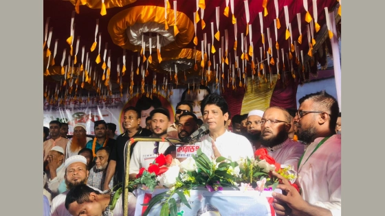 বিএনপি গণতন্ত্র ও মানুষের স্বার্থ রক্ষায় কাজ করে : মহসীন হোসাইন