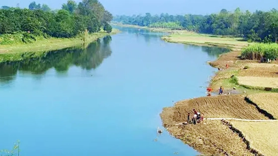 নদীর আপন কেউ নেই
