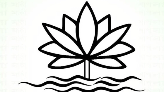 শাপলা প্রতীক বরাদ্দ দিলে সংবিধান লঙ্ঘন হতো