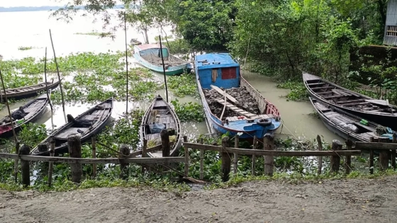 নিষেধাজ্ঞার সময়ে ইলিশ শিকারে জেলেদের ‘গোপন’ প্রস্তুতি