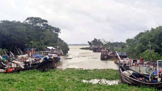 নিম্নচাপে উত্তাল বঙ্গোপসাগর, ঘাটে ফিরছে শূন্য ট্রলার