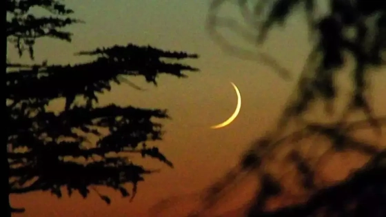 পবিত্র ফাতেহা-ই-ইয়াজদাহম আজ