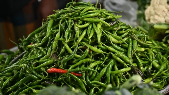 যশোরে এক দিনে কাঁচা মরিচ কেজিতে বাড়ল ১৭০ টাকা