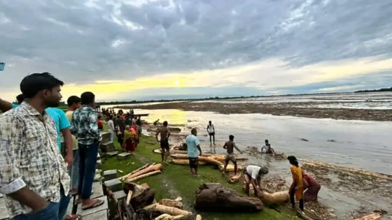 ভারতে প্রবল বৃ‌ষ্টি, কুড়িগ্রামে ভেসে আসছে হাজার হাজার গাছ