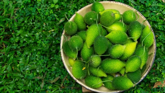 যে ৫ কারণে খাবারের তালিয়া রাখবেন কাঁকরোল