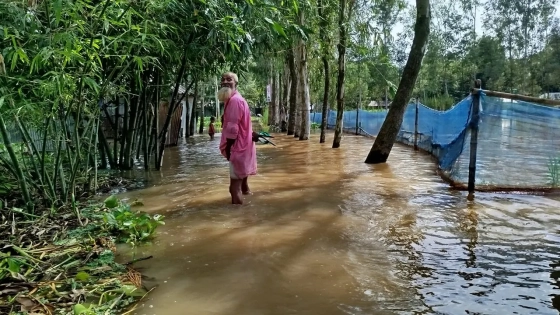 ভয়ঙ্কর রূপে তিস্তা, ১৫ হাজার পরিবার পানিবন্দি
