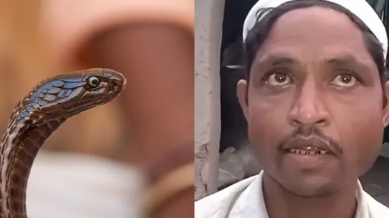 রাতে সাপ হয়ে কামড়াতে যান স্ত্রী, প্রশাসনের কাছে স্বামীর অভিযোগ