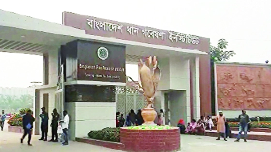 ধান গবেষণা ইনস্টিটিউটে কাজের সুযোগ, আবেদন যেভাবে