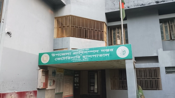 অচল দৌলতপুর প্রাণিসম্পদ অফিস, ভোগান্তিতে হাজারো খামারি