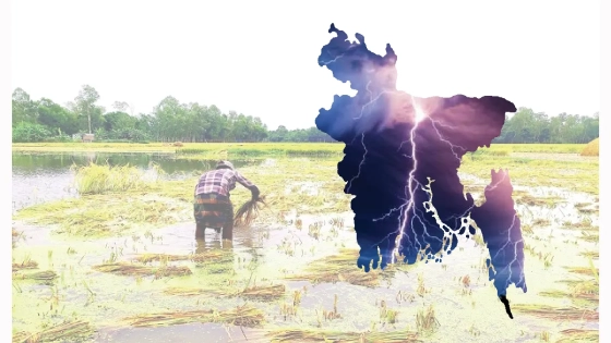 বজ্রপাতে কার্যকর ব্যবস্থা গড়ে তুলুন