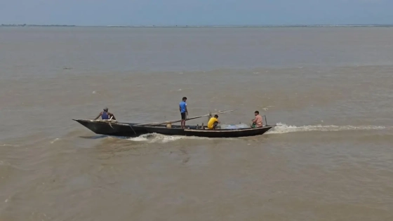 পদ্মায় প্রকাশ্যে ইলিশ শিকার, মিলছে হোম ডেলিভারিতে