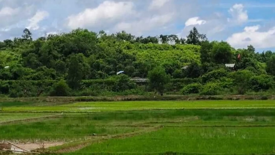 সীমান্তে মাইন বিস্ফোরণে বিজিবি সদস্যের পা বিচ্ছিন্ন