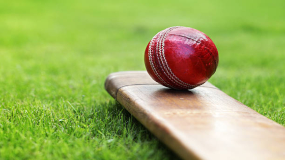 খেলা চলাকালে মাঠেই প্রাণ হারালেন বাঁহাতি পেসার