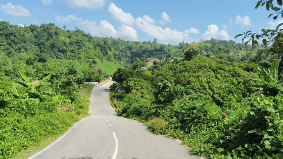 সীমান্তে মাইন বিস্ফোরণে মিয়ানমার নাগরিক নিহত