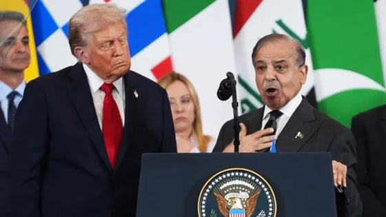 চাটুকারিতাকে যেভাবে পররাষ্ট্রনীতিতে রূপ দিলেন শেহবাজ শরিফ