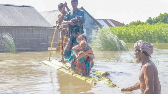 দুর্যোগে ভুক্তভোগীর ভূমিকা উপেক্ষিত