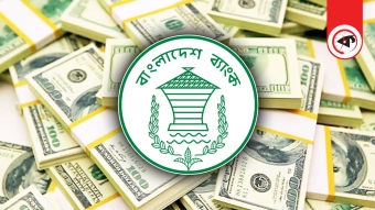 নভেম্বরে এলো ৩৫ হাজার কোটি টাকার বেশি রেমিট্যান্স