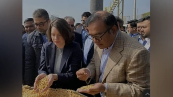 যুক্তরাষ্ট্র থেকে ভুট্টার বড় চালান বাংলাদেশে