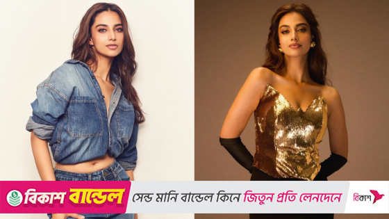 বলিউডে মীনাক্ষী চৌধুরী