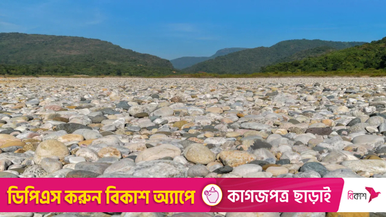 সিলেটের সাদা পাথর। ছবি : সংগৃহীত